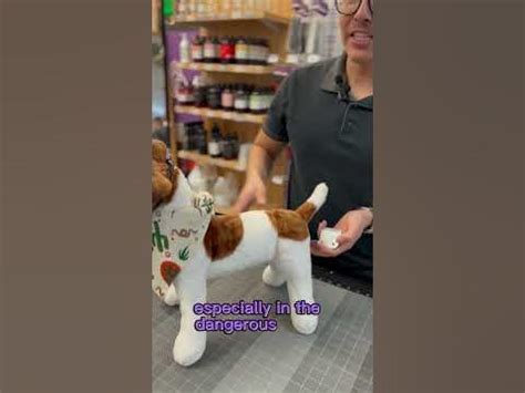 ryan's pet|ryan's pet grooming supplies.